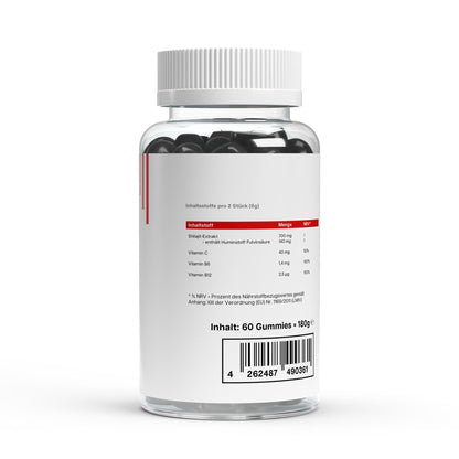 Shilajit Gummies + Vitamin C,B6, B12 - dkansnatural